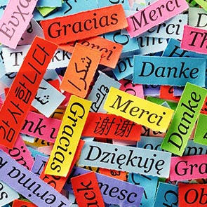 Nadir Diller Terc�me �ankaya izmir �eviri B�rosu